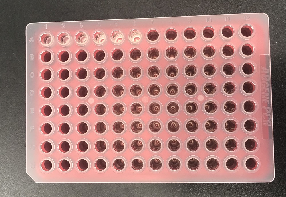 96 well plate with samples